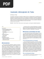 Anatomie chirurgicale de l’aine