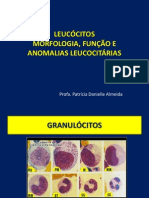 Leucócitos: morfologia, funções e anomalias