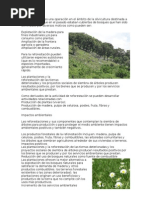 Deforestación tarea(planteamiento del problema
