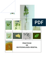 Cuaderno Pract Biotec 11 OCW