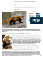 7 Things You Didn’t Know About Red Pandas _ The Thoughtful Animal, Scientific American Blog Network