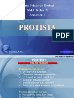 7 d 12 Protista