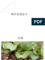 배추벌레잡기.pptx