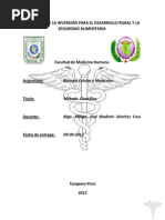 Informe Metodo Cientifico