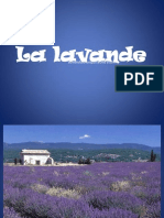 La Lavande