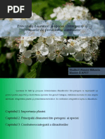 Crataegus Protectia Fitosanitara