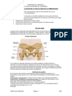 1207664938.evaluación de La Pelvis Materna