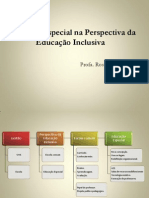 Educação Especial na Perspectiva da Inclusão