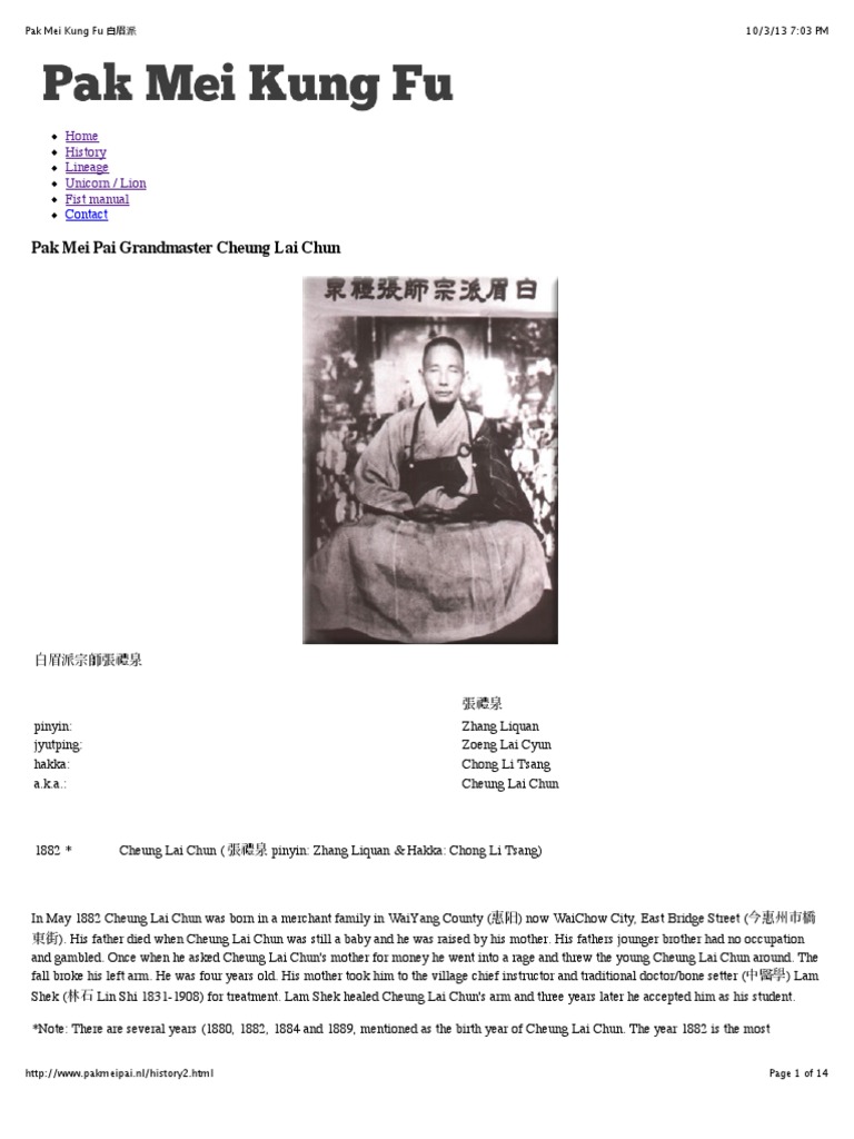 Preview of “Pak Mei Kung Fu 白眉派” | Chinese Martial Arts | Chiang Kai Shek