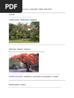 Indian Timber Trees and Their Uses | PDF | Wood | Tamil Nadu