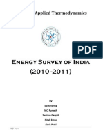 Energy Survey (2010)