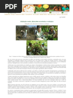 Adubação verde, alternativa econômica e ecológica.pdf