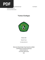 Download varises esofagus by Yuji Aditya SN200583978 doc pdf