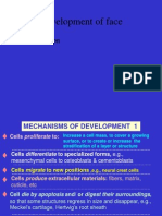 Development of Facial Features