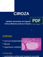 Ciroza Final