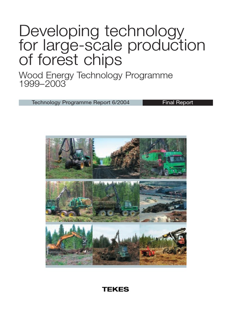 Wood Energy Final Bioenergy Renewable Energy