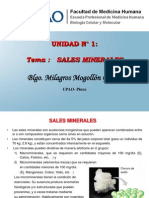 5. Sales Minerales