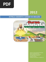 Apostila-do-Curso-Comadantes-Janatã-2012-by-Numanto