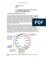 Repartido_Fisiologia_Jitomate