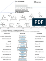 002-Exerciciosglicólise 006