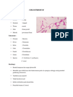 CHLOSTRIDIUM