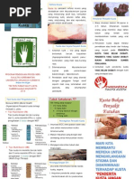 Download Leaflet Kusta by Randy Yusuf P SN200696771 doc pdf