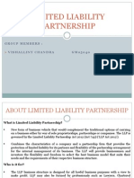 Limited Liability Partnership (2)