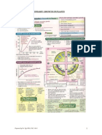 Primary and Secondary Growth in Plants: Prepared by Pn. NG HM/ CHC/ 2013