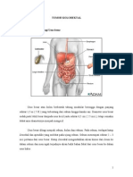 93898306 Tumor Kolorektal