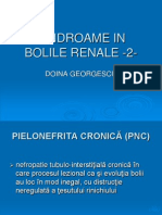 Sindroame in Bolile Renale - 2