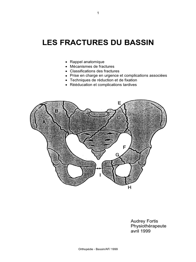Bassin, PDF, Articulation (anatomie)