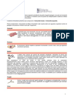 12816076 Anatomia Atlante Anatomico Con Tavole Httpwwwanimaliberanetpilmiolibrohtml