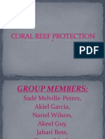 Coral Reef Protection