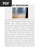 Download Cara Buat Microworm by Haiqal Iskandar Ismail SN200730633 doc pdf