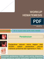 Workup Hematemesis Melena