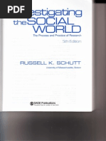 Schutt Paginile 53 87