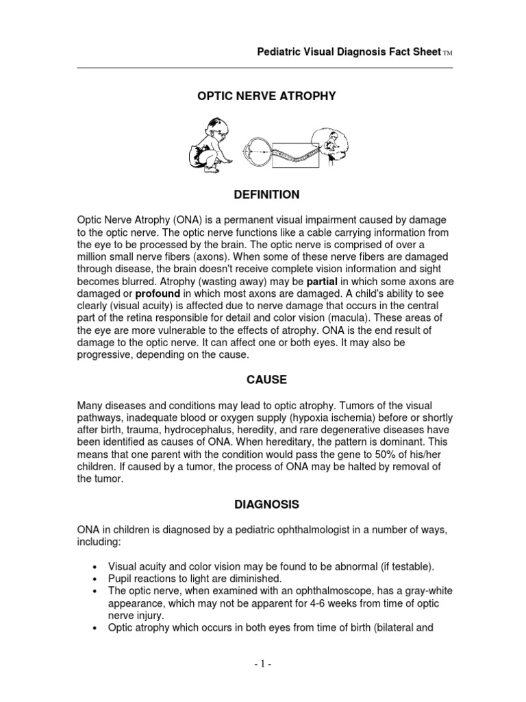 Fact Sheet Optic Nerve Atrophy Visual Impairment Visual System