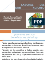 Régimen Laboral Del Trabajador Agrario