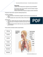 Sistem Respirasi Pernafasan