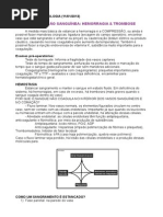 COAGULAÇÃO SANGUINEA - TROMBOSE E HEMORRAGIA (2)