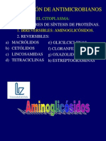 4aminoglicosidos PDF