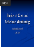 Basics of Cost and Schedule Monitoring