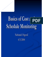 Basics of Cost and Schedule Monitoring