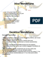 Aula Genética Mendeliana (Monoibridismo, Diibridismo e Poliibridismo) 1