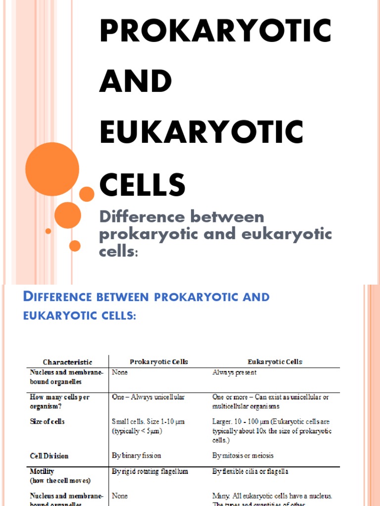 Prokaryotic vs Eukaryotic Cells | PDF | Endoplasmic Reticulum | Cell ...