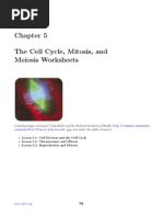 Worksheets Cell Division