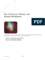 Worksheets Cell Division