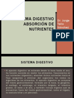 4.2.- Fisiología Digestiva y Absorción de Nutrientes en el Deportista. Dr Tello Sánchez