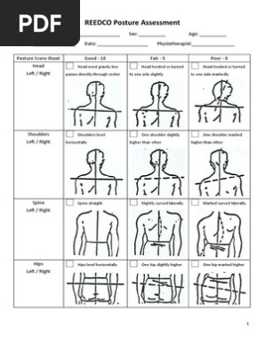 Reedco Posture Assessment Pdf