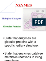 2 1 20 Enzymes